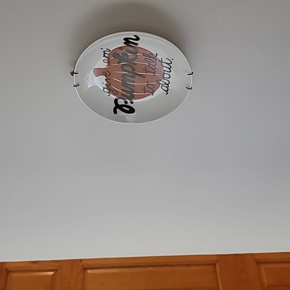 Crate & Barrel Decorative Pumpkin Plate - Picture 6 of 6